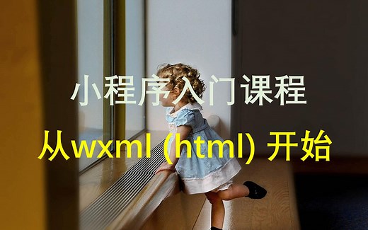 小程序入门课程，一节课快速掌握wxml【分上下集】