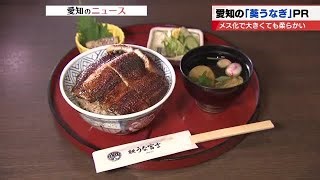 Eel Regulation Dropped After Japan Opposition