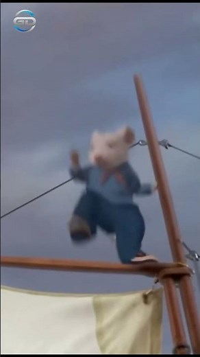 little stuart boat race