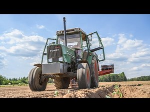 FENDT 304 LS TURBOMATIK 🚜🥬 PLANTATION DE CHOU