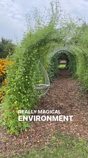 Gardener's Workshop Farm on Instagram: "Grab my free course to build this trellis tunnel! Comment LEARN and head to your DMs for the link to download my free LEARN app and inside is the free course: ⭐️⭐️⭐️Building a Trellis Tunnel course⭐️⭐️⭐️ this tunnel has become homebase to a lot of the good stuff that lives on my farm plus all the fun! #gardenersworkshopfarm"