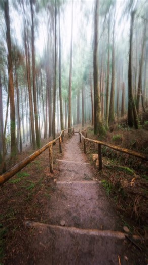 Andrew Wille | LA Photographer | How to create the Shutter Drag Effect👇📸 1. Set your shutter speed between 1/6 - 1/10s 2. Quickly snap your camera up (or whichever... | Instagram