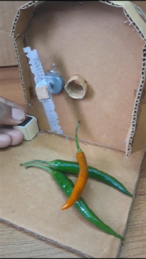 Automatic Chilli Cutting Machine | Fast & Easy Kitchen Hack||#science #project #shorts