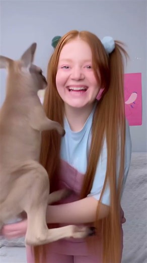 Learn Exotic Animals 🐅 Kids Learning #shorts #fun