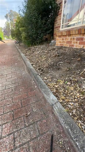 2.6K views · 34 reactions | There’s lessons to be learnt from everyone you come across  #satisfying #trending | Dee’s Lawn & Landscaping | Facebook