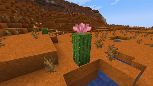 How to obtain cactus without desert in Minecraft