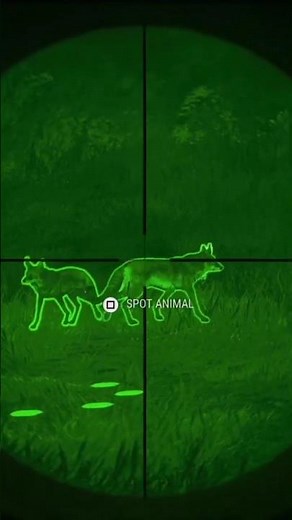 Night vision hunt Of Coyote 🦊 , #hunting