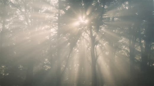 Enter your Ads today to the Runway AI Festival. Coming to NY and LA this June. Submissions close April 27th, learn more at the link below.