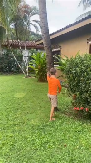 I couldn’t figure out how Tommy was getting coconuts! Turned out he taught himself a new skill 🥥🌴🐒. Tommy learned the importance that sometimes the climb feels impossible but God reminds us, “At the proper time we will reap a harvest if we do not give up.” Galatians 6:9 Faith isn’t about the easy climbs. It’s about trusting God enough to keep going when it’s hard, believing there’s purpose in the struggle and glory at the top. Keep climbing. #OnTheHuntWithTheHuntBrothers# #BibleBites #NeverGi