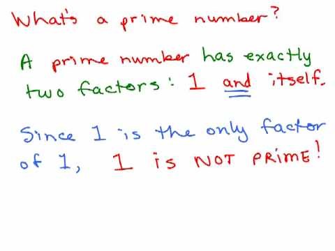 Factors and Prime Numbers
