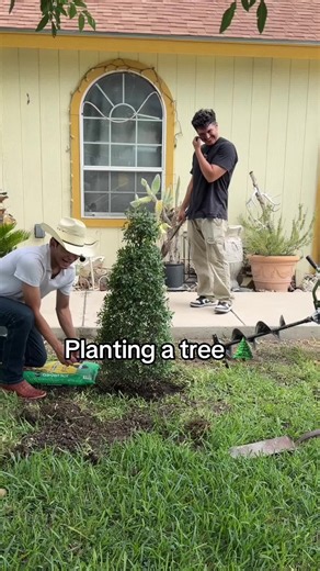 Planting a Tree: Step-by-Step Tips for Successful Tree Planting