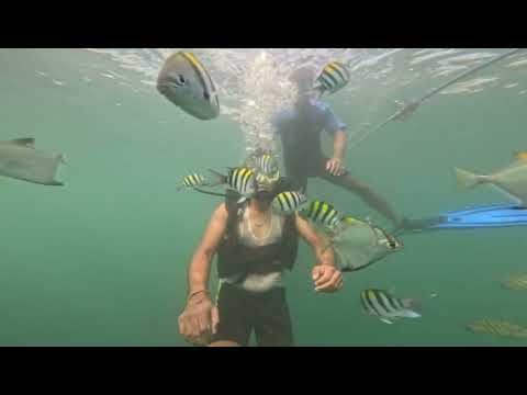 Scuba Diving in Malvan | Underwater World | kokan |🤿🌊💪🏻🌴🥥