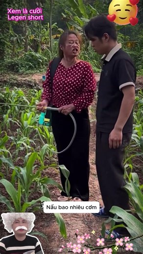 Anh về nấu cơm đi #haihuoc