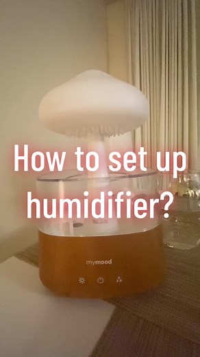 How to set up rain cloud humidifier? #clouddiffuser #cloudhumidifier #rainlamp #sleep #asmr #tiktokmademebuyit
