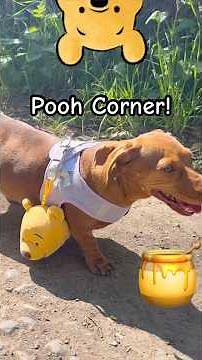 We visit Pooh Corner, a Real Winnie the Pooh Experience! #poohbear #poohcorner #disney #vlog #food