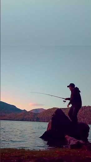 Epic Trout Fishing in Lago Falkner Patagonia | Big Catch!