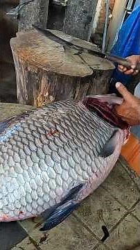 Big Catla Fish Cleaning Skills #fishcutter #fish #fishcuttingskills