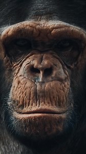 The Ultimate Animal Rights Documentary: Stream on TV or Desktop! | PETA (People for the Ethical Treatment of Animals)