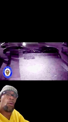 Hide and Seek #ricesrules | Rice Dee