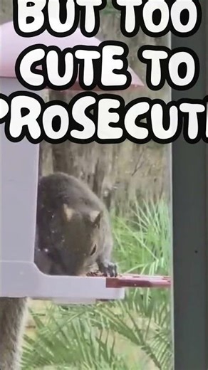 The Case of the Missing Bird Seed