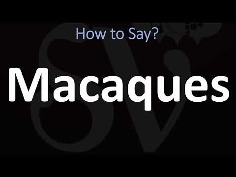 How to Pronounce Macaques? (CORRECTLY)