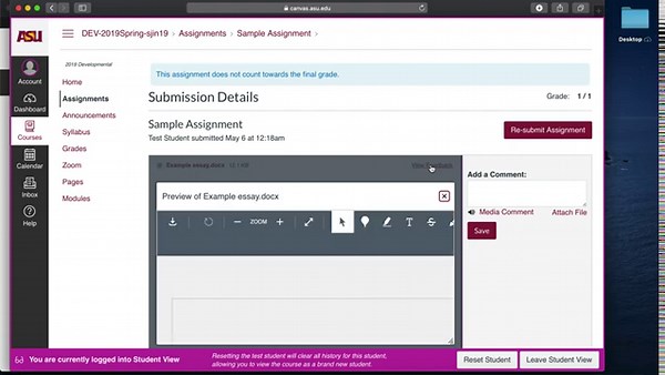 How to look at annotations on a Canvas Assignment