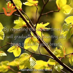 ☄️ Meditation method 1: Watching the breath 🧘 Follow this method to begin your meditation practice 🤯 If your mind is too scattered, or you have never practiced meditation, you can count your breaths from one to ten, then from ten to one. By repeating this several times, you will gradually stop counting and begin to watch your breath. ✨Video dubbing comes from the Spooky2 brand founder - John White. ❤Now we are inviting you to join us in making a difference: https://bit.ly/3OIuiHn #spooky2scala