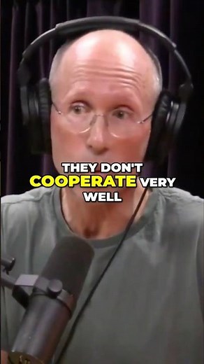 Chimpanzee Hunting | William Von Hippel | JRE #1201