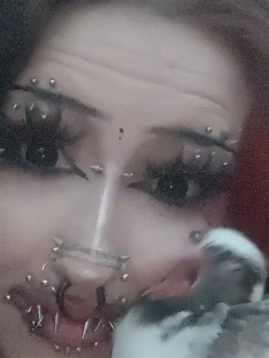 Adorable Baby Pigeon Cuteness Caught on Camera