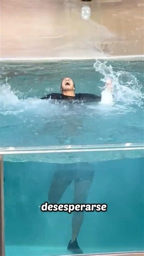This Sea Lion Saved A Girl From The Water 🥺✨