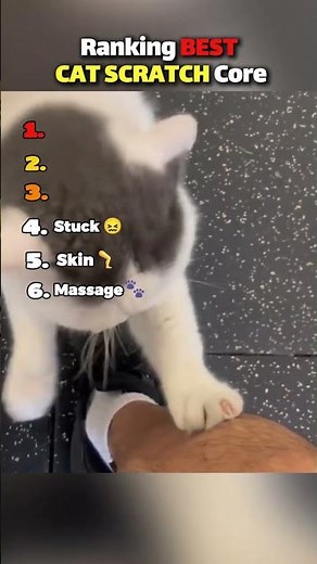 Ranking FUNNIEST CAT SCRATCH Moments!! 🐱🩹