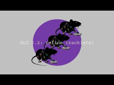 DeepLabCut 2.2: how to use the refine tracklets GUI!