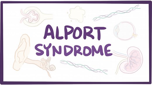 Alport syndrome: Video, Causes, & Meaning | Osmosis