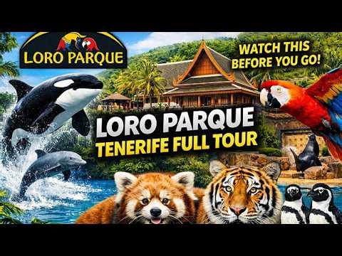 LORO PARQUE TENERIFE FULL TOUR 2026 | Best Zoo in the World? (Shows & Animals)