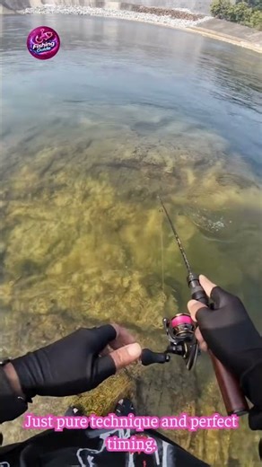 The Easiest Way to Catch Emperor Fish #FishingTips