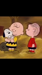 15K views · 966 reactions | How the Charlie Brown and Snoopy adventure started! Nothing like a little Peanuts to help you find your smile.  #snoopy #peanuts #charliebrown #gotcha #day #cartoon #smile #smilemore #joy #happy | Chris Parrish | Facebook