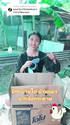 วิธีทำบ้านไก่ บ้านแมวจากลังกระดาษ ง่ายๆ มือใหม่ก็ทำได้