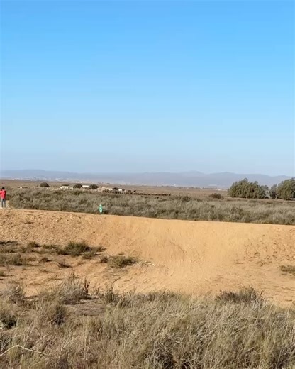 4.9K views · 252 reactions | SCORE International on Reels | Facebook