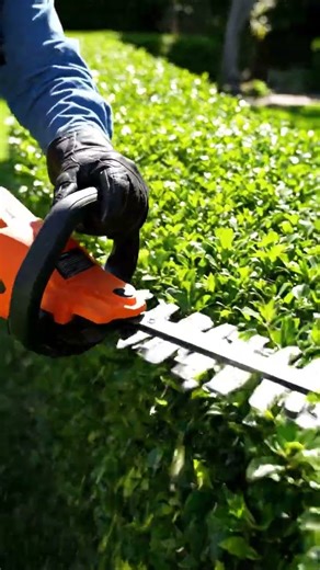 Giving the Garden a Fresh Cut! 🌿 Satisfying Trimming #shorts