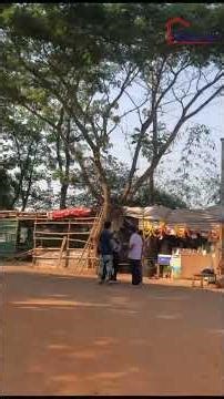 PLOT FOR SALE AT MALIPAPDA || 30FT ROAD TOUCH #bhubaneswar #plotsforsale #property