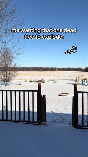 When Trees Explode in Winter: A Funny Take on Cold Weather