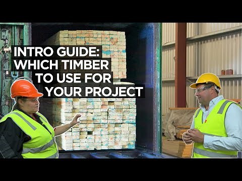 Intro guide: which timber to use for your project