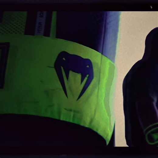 Lomachenko Boxing Highlights and Techniques