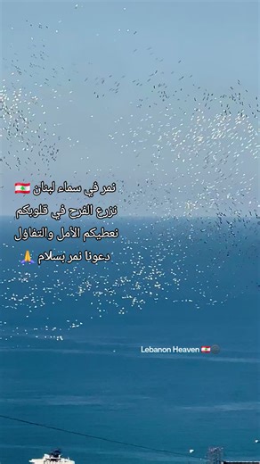 Exploring the Beauty of Lebanon's Natural Wildlife