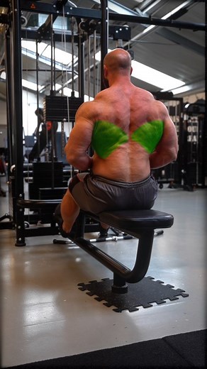 5.8K reactions · 5 comments | Cable row variations  1. Lower back variation 2. Middle back variation 3. Upper back variation -------------------------------------- Check out my #musclebuilding training programs, link  Bio | Petar Klančir IFBB Pro | Facebook