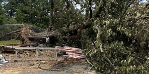 Have storm damage? Here’s how to report it to the state