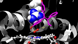 Share Your Science: Fighting Ebola with Supercomputer Simulations | NVIDIA Technical Blog