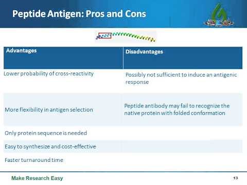 Protein or peptide antigen: choosing the optimal immunogen for antibody production