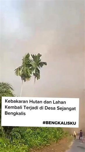 Aktual News on Instagram: "🚨 SETELAH BENCANA BANJIR KINI SUMATERA DIHANTUI BENCANA KABUT ASAP💔 Kebakaran hutan dan lahan (karhutla) kembali terjadi di Desa Sejangat, Kecamatan Bukit Batu, Kabupaten Bengkalis. Lahan perkebunan sawit yang berada tepat di sebelah area yang terbakar pada hari sebelumnya kini turut terdampak dan dilalap kobaran api. Sabtu, (14/2/2026). Diduga kondisi lahan yang kering akibat musim kemarau membuat api dengan cepat menjalar ke area sekitar. Warga setempat kembali ber