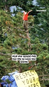 Julia Hill knew she had to help the world, but she didn’t know how, until she saw a sequoia. A great giant tree native to North America that was at risk because of a logging company. Julia decided she would live among its branches until she convinced those in power not to cut it down. But what happened next was beyond words. | Know More